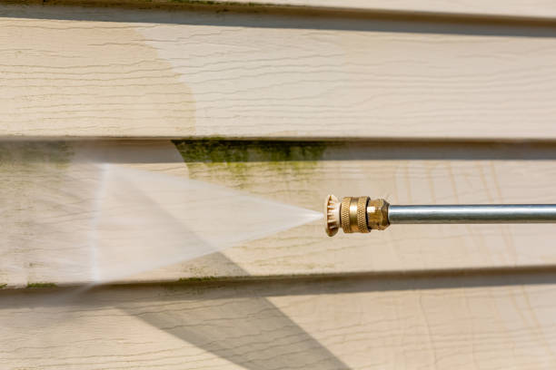 Best Best Pressure Washing Companies  in Glenwood, MN