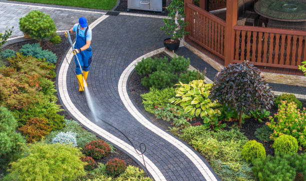 Best Commercial Pressure Washing  in Glenwood, MN